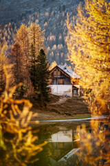 Fototapeta premium Scenic alpine cabin surrounded by autumn larch trees in Dolomites Italy 2024