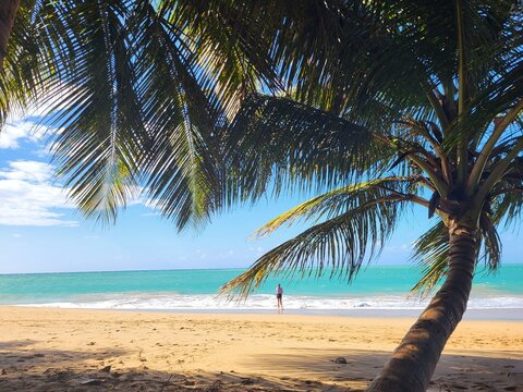 Anse Riflet, Guadeloupe