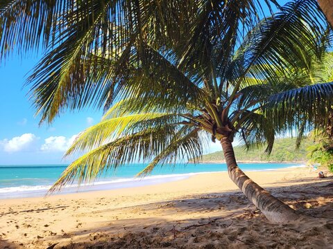 Anse Riflet, Guadeloupe