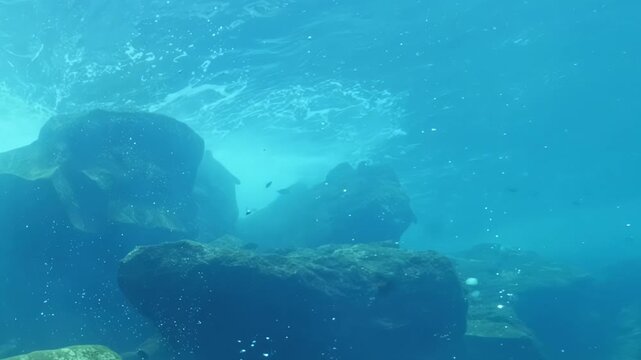 A close view of underwater rock formations in a clear water location. Small fish swim around the rocks, which are covered in marine growth. The clarity enhances visibility of underwater life.