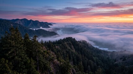 Obraz premium US Pacific coast summer fog bank rolling in over redwood ridgeline at sunset, Ultra High-Definition Background Stock Image.