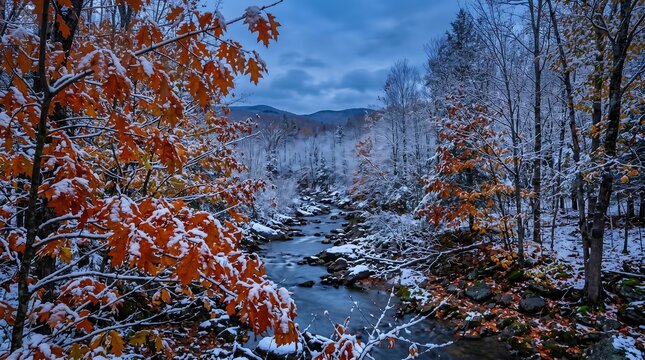 New England first snow dusting on still-orange oak leaves, transition moment, Professional Editorial Nature Photograph.