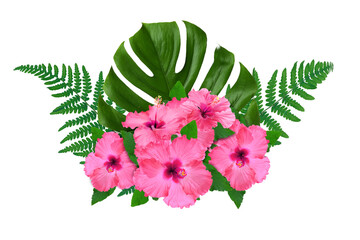 Pink hibiscus flowers and green leaves in tropical composition on white background © New Africa