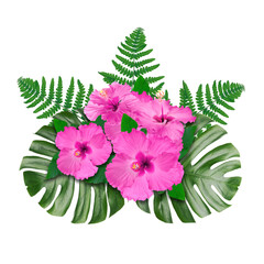 Hibiscus flowers and green leaves in tropical composition on white background © New Africa