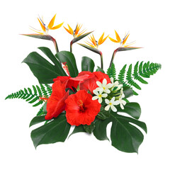 Hibiscus, strelitzia and plumeria flowers with green tropical leaves on white background © New Africa