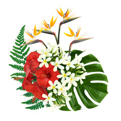 Hibiscus, strelitzia and plumeria flowers with green tropical leaves on white background © New Africa