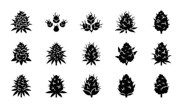 Cannabis bud icons set, 15 black silhouette marijuana flower vectors, medicinal hemp plant symbols for dispensary branding and product packaging
