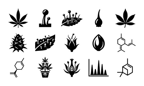 Cannabis science icons set, 15 marijuana botanical and laboratory vector symbols, hemp plant biology and chemical molecule signs