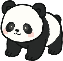 Hand Drawn Panda Illustration  © 정원 조