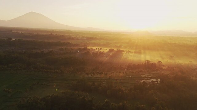 Spectacular drone flyover above Mancingan rice terraces in Ubud during a glowing golden sunrise &ndash; Amazing countryside path surrounded by coconut palms and green paddies, tourism advertising asset