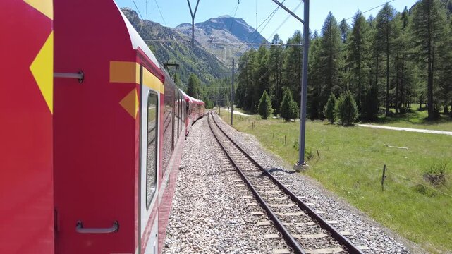View of the red Bernina Express train traveling along the tracks through a scenic alpine landscape with pine trees and mountains in Chur, Graubunden, Switzerland.