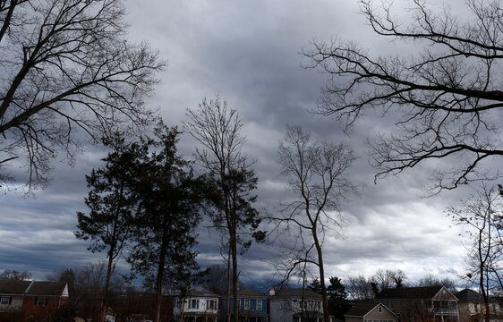 Stormy sky with dark clouds and bare branches