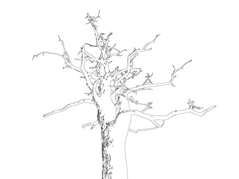 Old weathered dead tree with intricate dry branches isolated on transparent background for conceptual art work