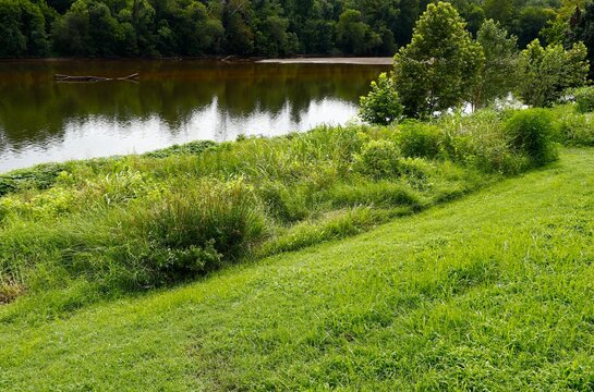 Pristine river and lush shoreline vegetation