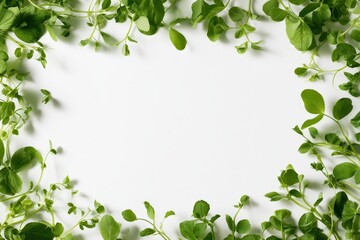 Fototapeta premium Bright botanical background featuring vibrant green foliage and generous copy space