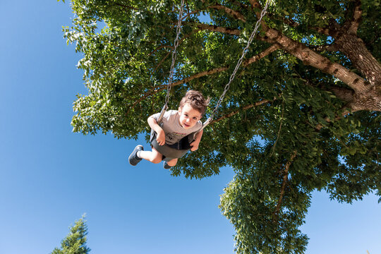 Young Boy Swinging in Sunny Park Under Large Tree Against Blue Sky in Chilliwack BC Canada
