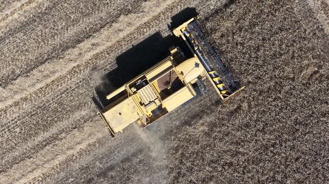 Combine harvester harvesting wheat field aerial view