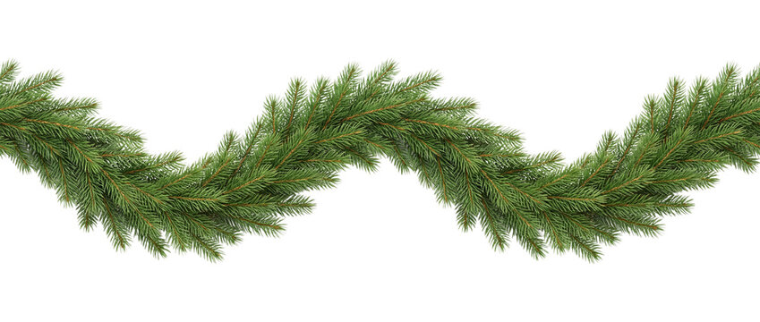 Evergreen boughs form a seamless border on transparent background