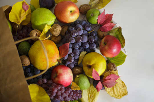 Autumn harvest still life with fresh grapes apples pears and walnuts in paper bag