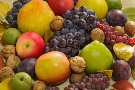 Autumn harvest assortment of fresh fruits, grapes and walnuts on rustic background