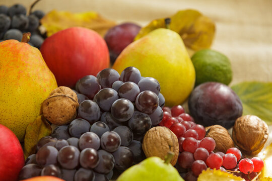 Autumn harvest still life with fresh fruits dark grapes pears and apples