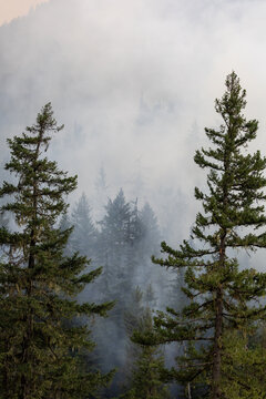 Blank White Sky With Smoke From Wildfires Near Hope, BC, Canada &mdash; Hazy Minimal Landscape