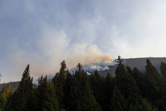 Smoke Rising Over Evergreen Forest From Wildfires Near Hope, BC, Canada At Dusk