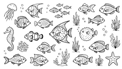 Obraz premium Doodle set of sea life, hand drawn vector icons and line art illustration of ocean fish.