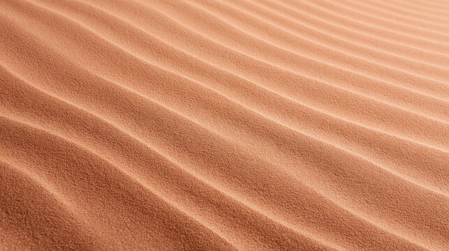 Desert Sand Texture with Wavy Wind Ripples Pattern