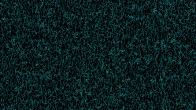 Fine micro-scale cyan caustics mesh fluctuating in rapid fluid motion, seamless loop background element