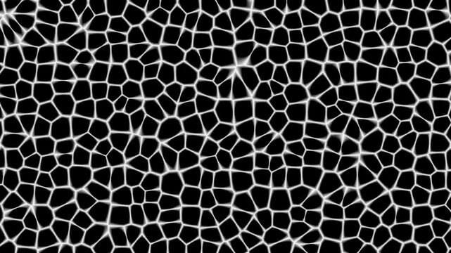 High contrast Voronoi cellular network mesh pulsating smoothly in seamless animated loop