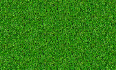 Fototapeta premium Fresh Green Grass Natural Texture Background with Detailed Lawn Surface