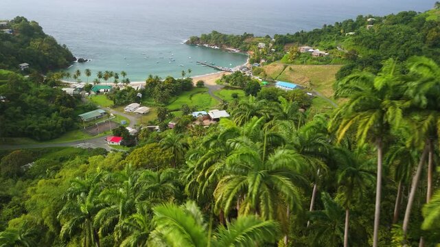 Low aerial flyover past towering palms reveals Parlatuvier Bay in Tobago with crescent beach jetty fishing boats and village in rainforest amphitheater