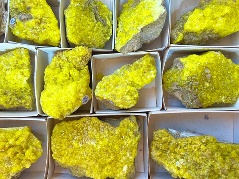 Bright yellow sulfur mineral crystal specimens displayed in individual white cardboard boxes, arranged in a flat lay collection view