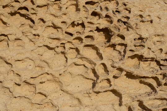 A close-up and detailed view of brown sandstone riddled with weathering-induced holes.