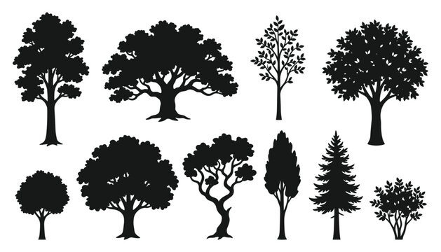 Tree silhouette collection featuring oak, maple, willow, pine, cypress and ornamental trees for landscape, forestry and nature design