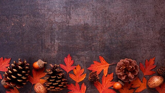 Colorful autumn leaves, nuts and pine cones. Loopable stop motion animation. Bottom border over a dark background. Top view with copy space.