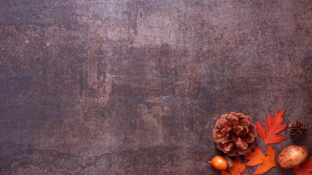 Colorful autumn leaves, nuts and pine cones. Stop motion animation placement. Bottom border over a dark background. Above view with copy space.