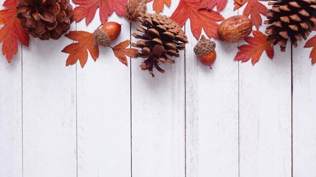 Colorful autumn leaves, nuts and pine cones. Loopable stop motion animation. Top border over a white wood background. Overhead view with copy space.