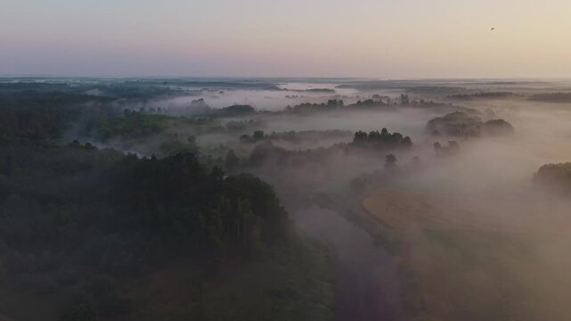 Aerial view of a river winding through dense forest and fields blanketed in soft dawn mist near Wkra river Mazovia