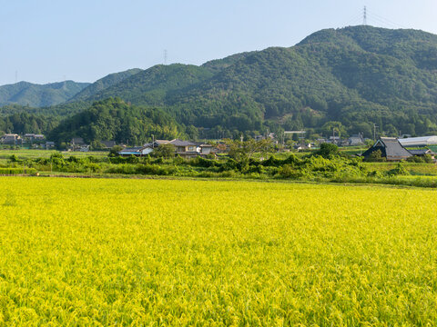 大阪府の能勢町に広がる田園風景