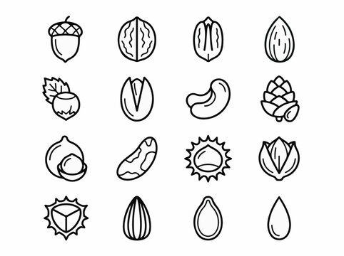 Nut and seed icon set line art vector collection featuring almond walnut and pistachio for healthy food packaging and organic snack menu design