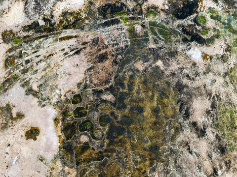 Close-up texture of weathered brown concrete wall featuring a fine network of cracks and faint green moss patches.
