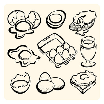 Fresh Eggs Variety Set Egg Carton Toast Shells Line Art
