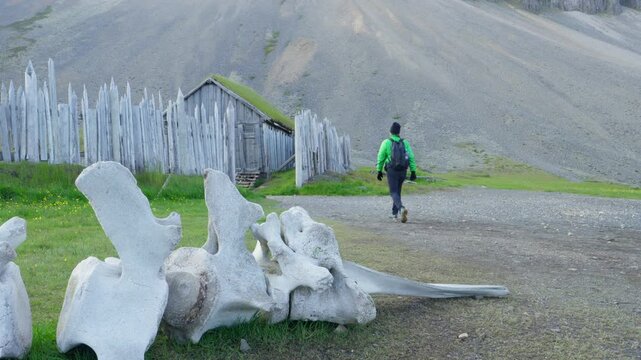 A lone hiker walks past ancient whale bones and a wooden Viking village film set, nestled in a remote, rugged landscape on Iceland. Ideal for historical, travel, and adventure themes.