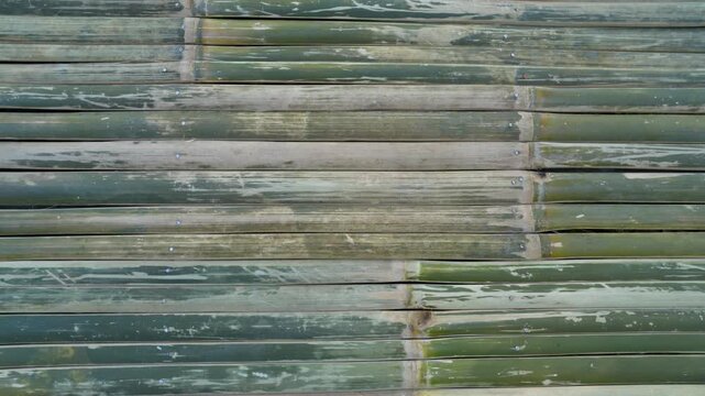 Natural background featuring a weathered surface made of horizontally aligned green bamboo sticks, showing distinct textures, nodes, and silver screw heads.