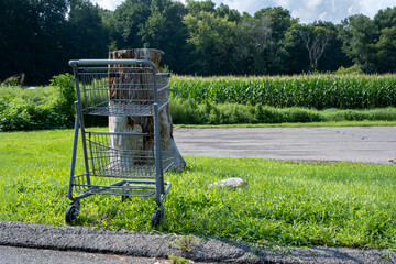 Abandoned shopping cart in a grassy field in front of a tree stump © Maxwell