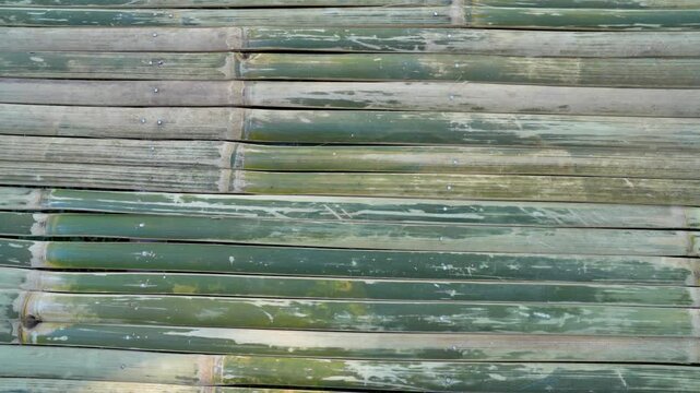 Natural background featuring a weathered surface made of horizontally aligned green bamboo sticks, showing distinct textures, nodes, and silver screw heads.