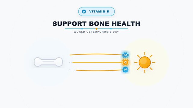2D flat design animation showing Vitamin D absorption for bone health on World Osteoporosis Day
