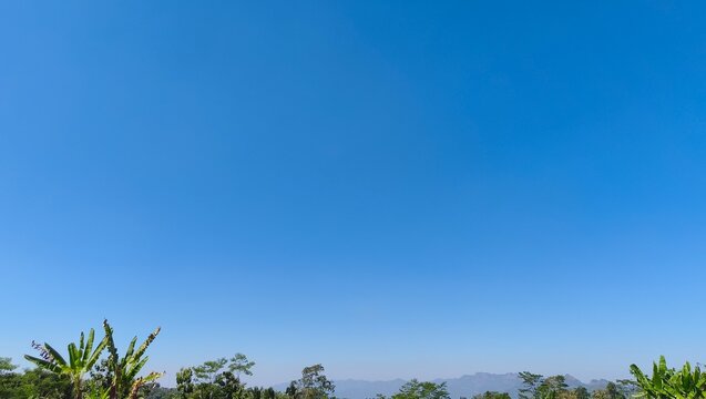 Wide angle shot of lush green vegetation and distant mountain range beneath a vast cloudless blue sky perfect for copy space